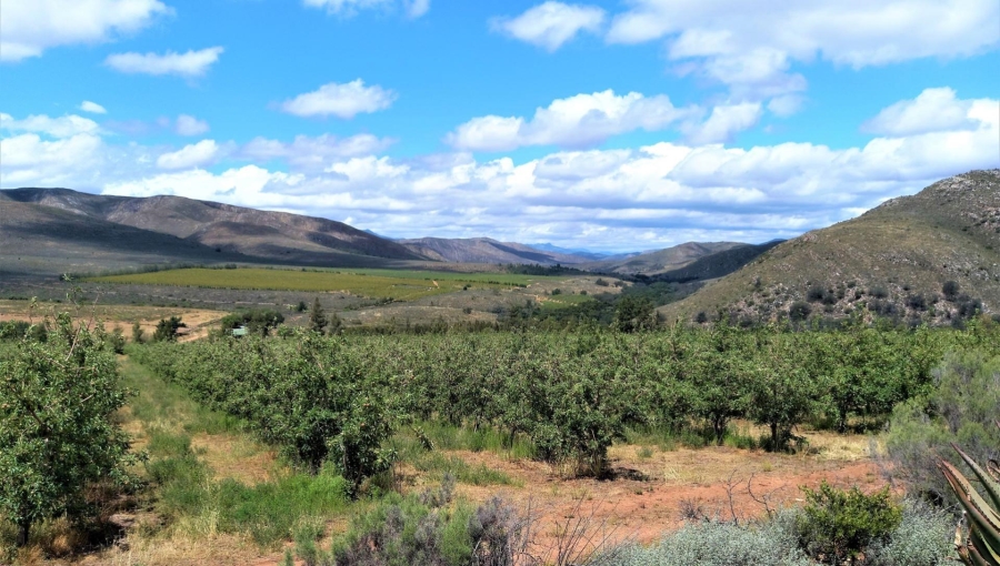 0 Bedroom Property for Sale in Uniondale Rural Western Cape